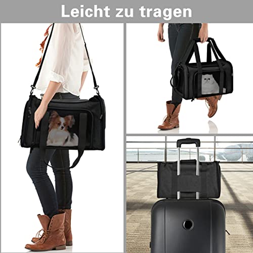 Qlfyuu Transporttasche für Katze Hund, Faltbare Tragebox für Mittel Kleine Haustiere im Flugzeug, Transportbox für Haustiere , 15lbs Katzen Hunde Tragebox(Schwarz, Medium)