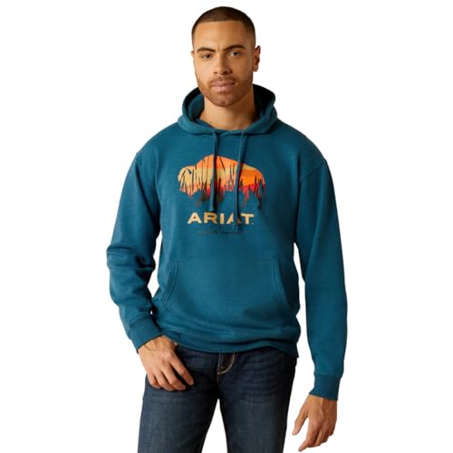 ARIAT Men's Bison Plains Hoodie