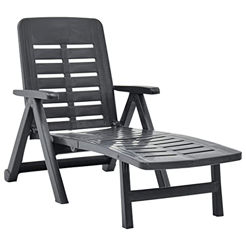 vidaXL Lettino Prendisole Pieghevole Regolabile con Braccioli Leggero Robusto Giardino Spiaggia Sedia a Sdraio Chaise Longue in Plastica Antracite