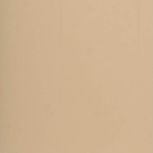 Miniatura 10 de Rust-Oleum Automotive 11onzas pintura en aerosol de vinilo y tela, 248921