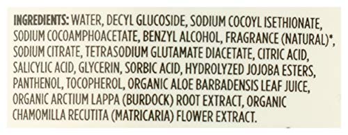 Image of 365 by Whole Foods Market, Hand Soap Foaming Satsuma Eucalyptus Refill, 64 Fl Oz (Pack of 2)