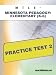 MTLE Minnesota Pedagogy: Elementary (K-6) Practice Test 2