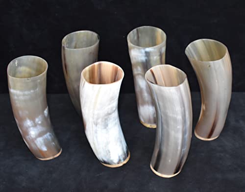 Viking Traders Medieval Handcrafted Norse Drinking Horn Glass | Authentic Mead Horn | Cup/Stein | Shot Glass | Beer | Wine Drinking Glass | Polished Wooden Base | Ceremonial Gift Pack Of 6 - Brown #TOP3