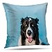 Pakaku Throw Pillows Covers for Couch/Bed 18 x 18 inch,Bernese Mountain Dog Summer Funny Lovely Animals Home Sofa Cushion Cover Pillowcase Gift Decorative Hidden Zipper Design Cotton and Polyester