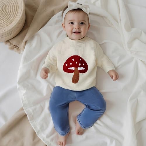 Toddler Baby Boy Girl Mushroom Sweater Long Sleeve Crewneck Chunky Knit Pullover Tops Infant Fall Winter Photoshoot Clothes2