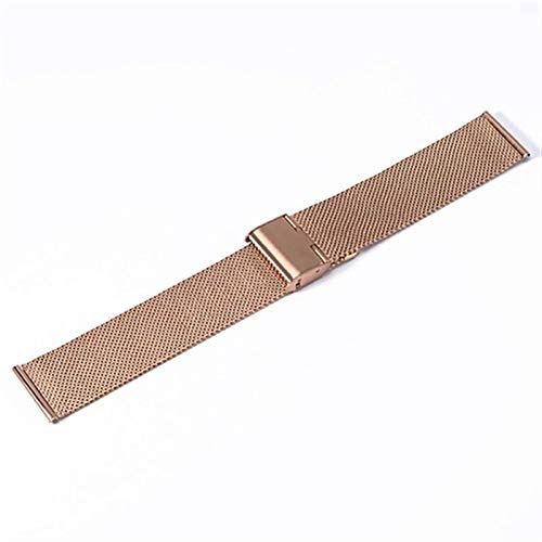 Bracelet de montre acier inoxydable universel 18 20 22 24 mm