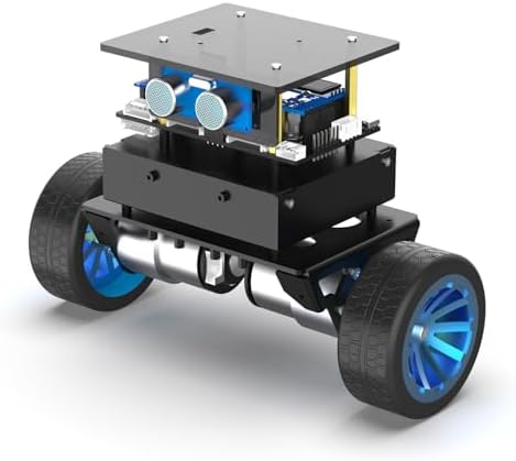 Yahboom STM32 2wd Self-Balancing Robot,Two-Wheeled Intelligent Ro...