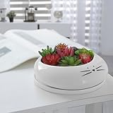 Koolkatkoo 8 Inch Cute Cat Succulent Planter Pot with Drainage Hole and Saucer Flower Bonsai Pot for Plants Large Ceramic Planter for Cat Lovers White