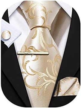 Barry.Wang Mens Solid Paisley Silk Tie Jacquard Necktie 4PCS Set Formal Wedding
