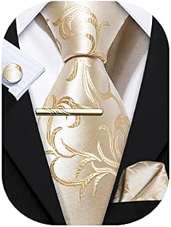 Barry.Wang Mens Solid Paisley Silk Tie Jacquard Necktie 4PCS Set Formal Wedding