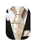 Barry.Wang Herren Krawatte Einfarbig Uni Schlips Satin Mit Einstecktuch Hochzeit Krawattenset (Beige Elfenbein)