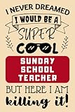 Sunday School Teacher Gifts: Funny Lined Blank Notebook Journal Gift for Sunday School Teacher...