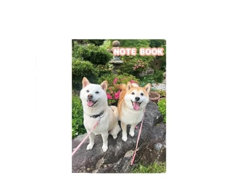 y\̔z Č݂񉀃t@~[ 2026N A5m[g No013NN