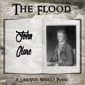 『Flood - The Flood - Read by MSD』のカバーアート