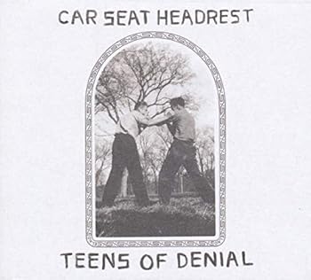 Vinyl Teens of Denial Book