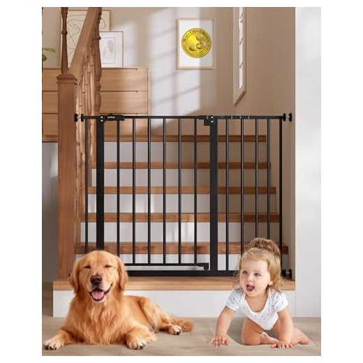 InnoTruth Baby Gate for Stairs