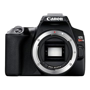 CANON Câmera EOS Rebel SL3 DSL3, Wi-Fi integrado, CMOS AF de pixel duplo e tela sensível ao toque de ângulo variável de 3 polegadas, corpo, preta
