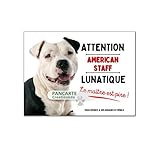 chiot american staffordshire terrier bleu a vendre Produit artisanal, fait main Plaque American Staff, noir et blanc, lunatique attention au chien panneau pancarte staffordshire terrier monte la garde aluminium
