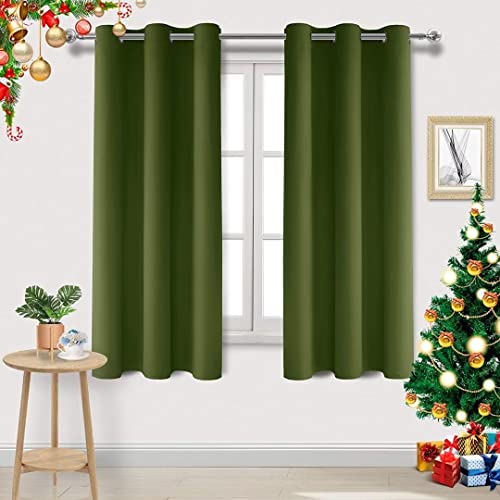DWCN Green Curtains for Living Room Blackout Curtains for Bedroom Eyelet Curtains Window Treatments Curtain 46 x 72 Inch 2 Panels