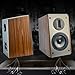 SAMTRONIC Passive Bookshelf Speakers 5.25