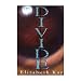 The Divide