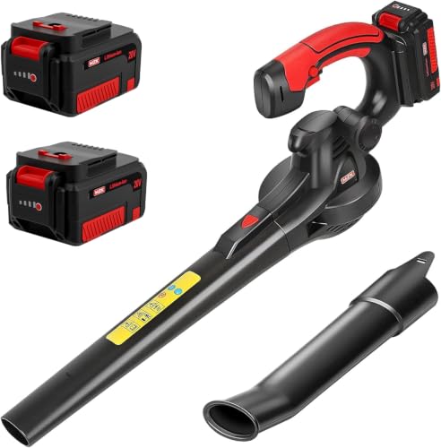Cordless 20V Leaf Blower with Batteries & Charger