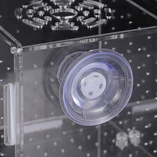 Popetpop Fish Breeding Box-2 Isolation Box Breeder Hatchery Incubator Aquarium Fish Breeding Boxes Divider Hatching Boxes Accessory-Suction Cup Pattern #TOP5
