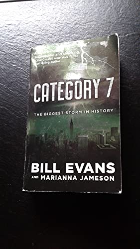Category 7 view 2
