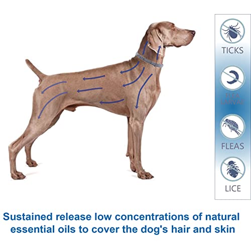 Natural & Safe Flea And Tick Collar For Large Dogs, 2 * 8 Months Protection, Waterproof, 27.5 Inch, One Size Fits All, Free Comb And Tick Removal Tool, Charity! (2 Pack) #TOP3
