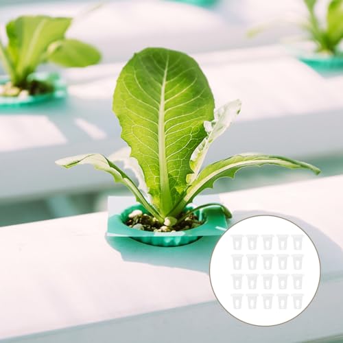 YARNOW House Plants Indoors 100 Pcs Garden Mesh Net Pot Slotted Hydroponic Basket Net Cups Plant Nursery Pots for Hydroponics Planting Nursery Grow Supplies Outdoor Basket - Image 4