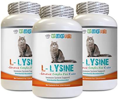 Immune System Booster for Cats - CAT L-LYSINE Powder - Immune System Booster - Eye Health - Vet Recommended - Natural - lysine for Cats he is - 3 Bottles (24 OZ)