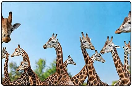 Modern Area Rug for Living Room Colorful Giraffe Fans Lovers Printed Non-Slip Absorbent Carpet for Bedroom Kitchen Home Outdoor 72"X48"