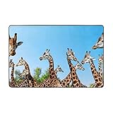 Modern Area Rug for Living Room Colorful Giraffe Fans Lovers Printed Non-Slip Absorbent Carpet for B