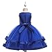 NSSMWTTC Toddler Embroidery Flower Ball Gown Dresses Graduation Frocks Girl Wedding Prom Tutu Christmas Dress (5017 Sapphire,140)