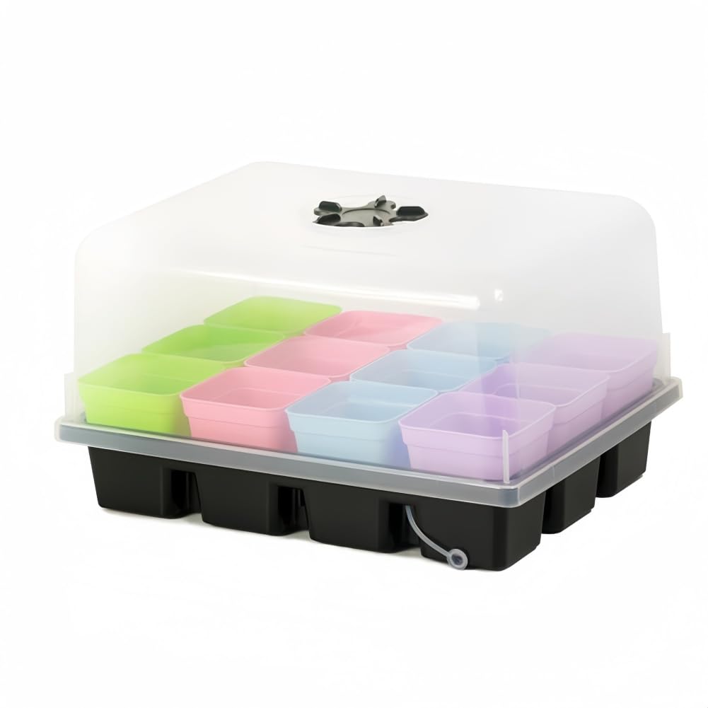 【崖の上のポニョ】イメージトレイ　アクアポット　3点セット　箱あり　未使用　希少 崖の上のポニョ】イメージトレイ アクアポット 3点セット 箱あり