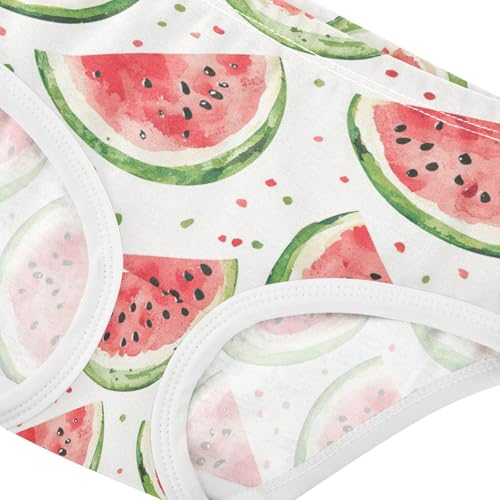 ZZKKO Watercolor Watermelon Girls Underwear Toddler Panties for Girls Comfort Brief Size 2-8T3