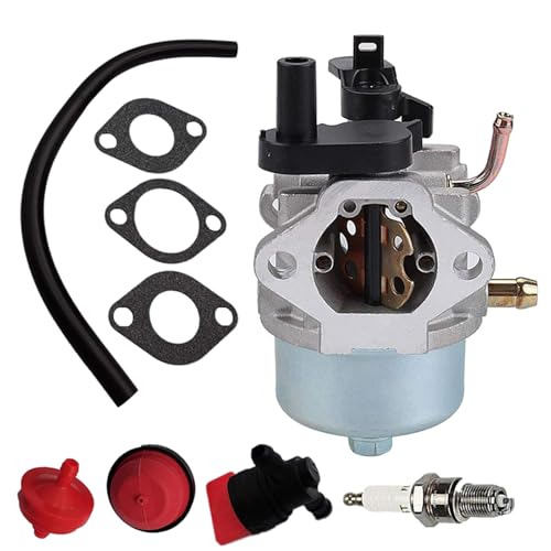 Carburateur souffleuse à neige évite le calage moteur hivernal 801255