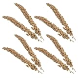 TOYZFRIENDY Hirse Leckerli für Papageien und Wellensittiche Natürlich Getrocknet 500g Vogelsnack...