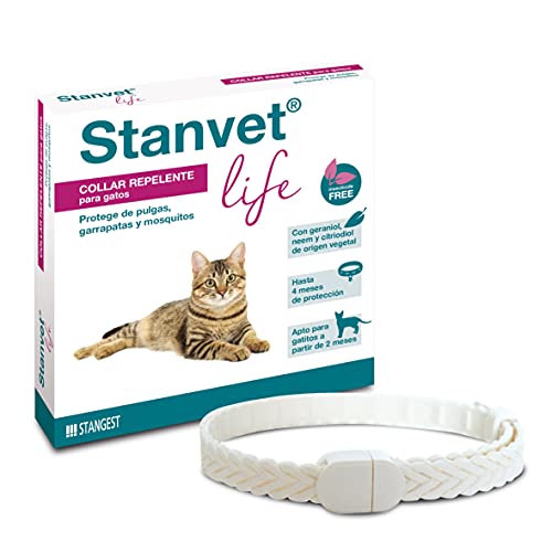 Stangest Collar STANVET Life Gatos, Black, 1 Unidad (Paquete de 1)