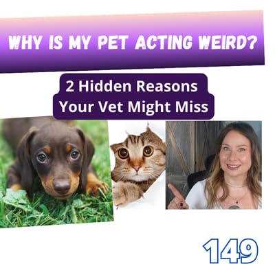 Page de couverture de Animal Communicator Reveals Reasons Behind Your Pet's Puzzling Behavior | 149