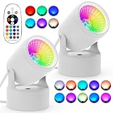 Hawady Dimmable Spotlights Indoor, 2 Pack RGBW 16 Color Changing LED Spot Lights Indoor, Remote Control Accent Lights 120V Up Lights for Art Picture Plant Uplighting Home Decor (White)