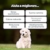 BauVet Calma & Serenità per Cani | Integratore Naturale con Valeriana, Passiflora e Camomilla | Supporto Relax, Sonno Sereno e Benessere Emotivo | 60 Bocconcini Gusto Manzo