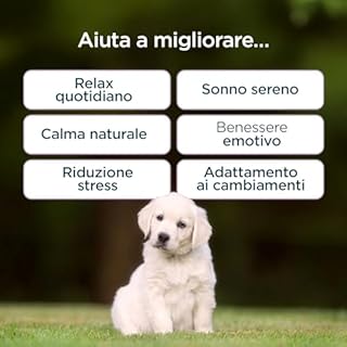 BauVet Calma & Serenità per Cani | Integratore Naturale con Valeriana, Passiflora e Camomilla | Supporto Relax, Sonno Sereno e Benessere Emotivo | 60 Bocconcini Gusto Manzo