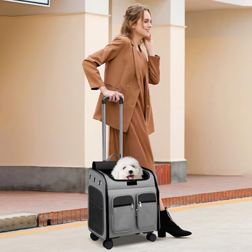 PETCUTE Katzenrucksack Hunderucksack mit Trolley 2 in 1 bis 11 kg,Faltbarer Hundetrolley mit 4 Rädern,Herausnehmbarer Matte,Multifunktionaler,Atmungsaktive Haustier-Reisetrage für Katzen und Welpen