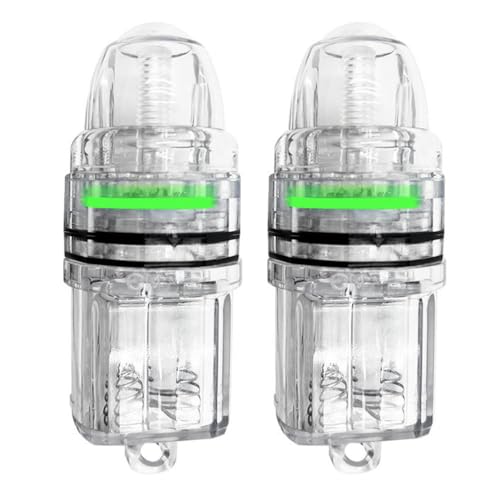 DONGKER Night Fishing Lure Light,2 PCS Waterproof Deep Drop Fish Lights with 2 Silicone Seals Ring for Inshore & Offshore Fishing