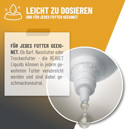 ReaVET Immun Aufbau-Tropfen für Hunde & Katzen 100 ml - Stärkung des Immunsystem, Abwehrkraft I Vitamine Multivitamin Liquid - Wertvolle, rein natürliche Vitamine & Mineralien
