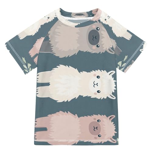 Boys Short Sleeve T-Shirts Cute Alpaca Sheep Cartoon Rashguard Kids Swim Shirts Sun UPF 50+ Multicoloured