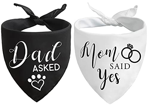 Dad asked and mom said yes dog bandana, wedding engagement photos bridal shower gift puppy dog pet bandanas, pet accessories for dog lovers, maid of honor wedding dog bandana, pack of 2 1 Dad asked and mom said yes dog bandana, wedding engagement photos bridal shower gift puppy dog pet bandanas, pet accessories for dog lovers, maid of honor wedding dog bandana, pack of 2