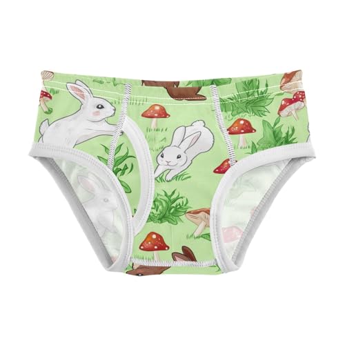 CHIFIGNO Cute Rabbits Mushrooms Green Underwear for Boys Soft Cotton Briefs Kids Boys Printed Brief Underwear