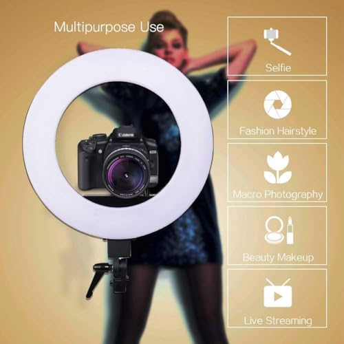 Image of GIFTMAX 18 Inch LED Ring Light with Stand | 2 Color Modes & Dimmable Brightness | Remote Control | for YouTube, Makeup, Vlogging, Video Shoot, Live Streaming | Compatible with iPhone & Android